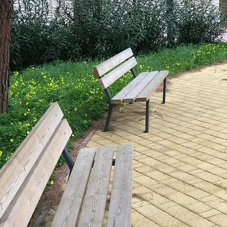 Modern Walls *